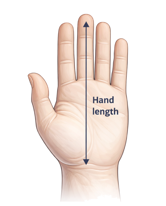 How to measure hand length